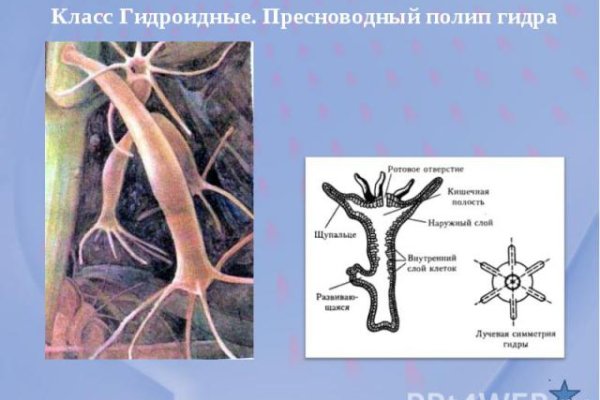 Как зайти на кракен без тора